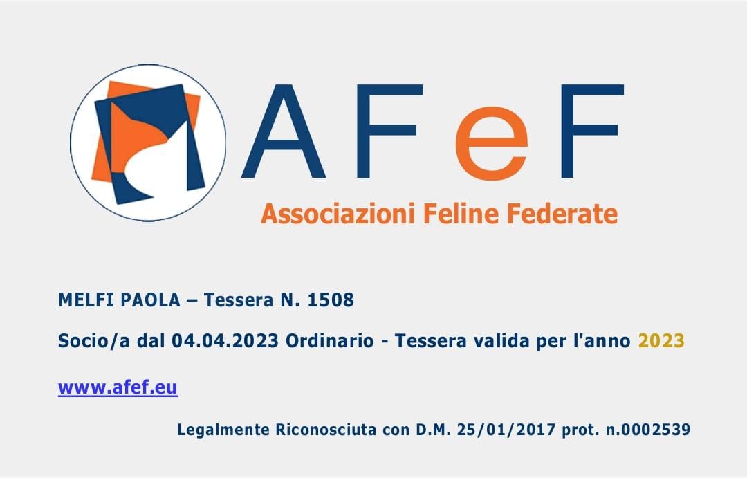certificato2