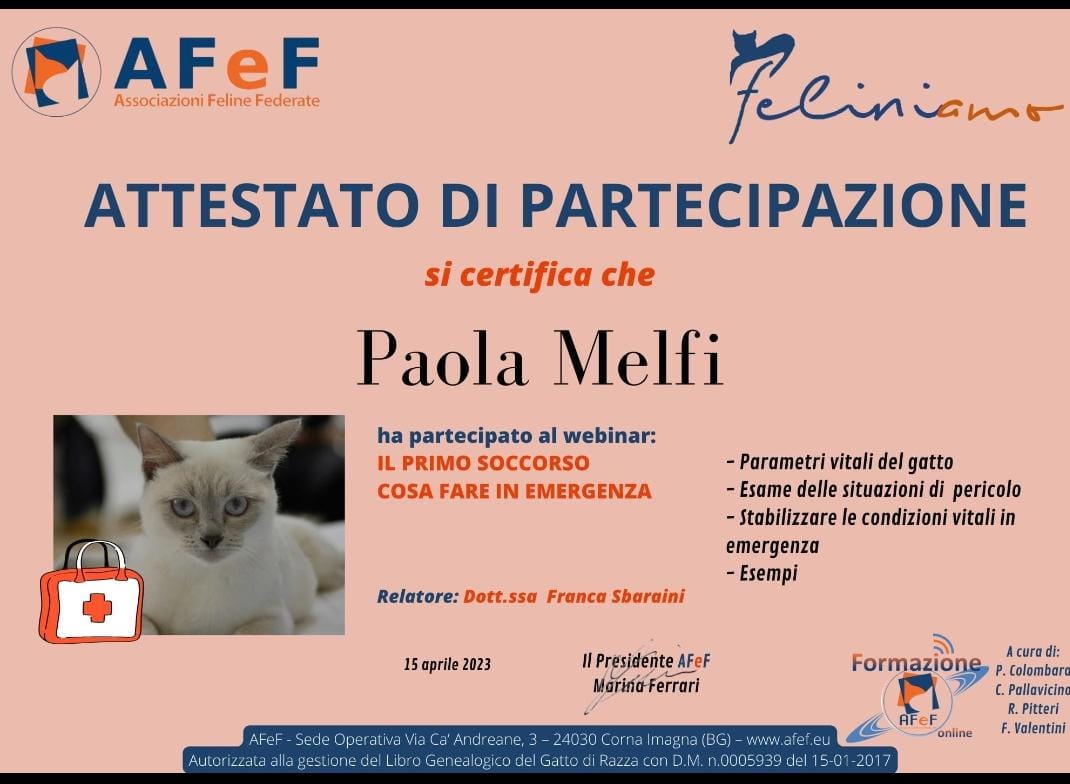 certificato3
