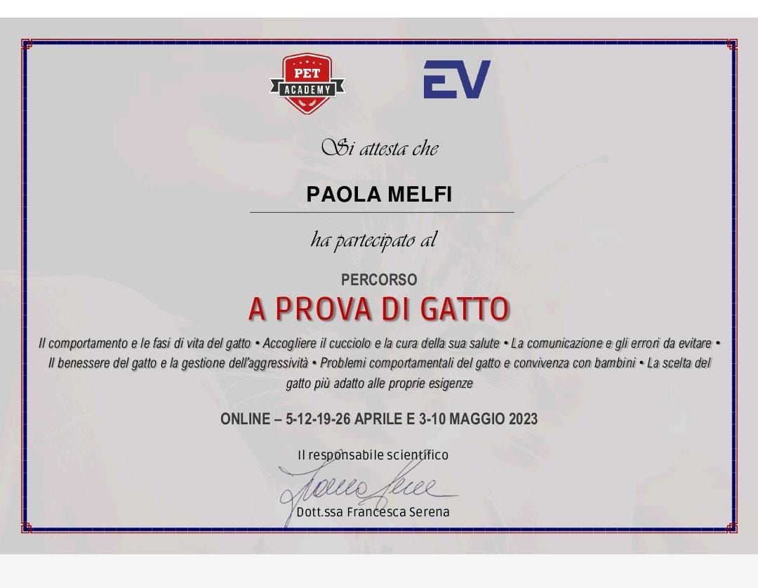 certificato4