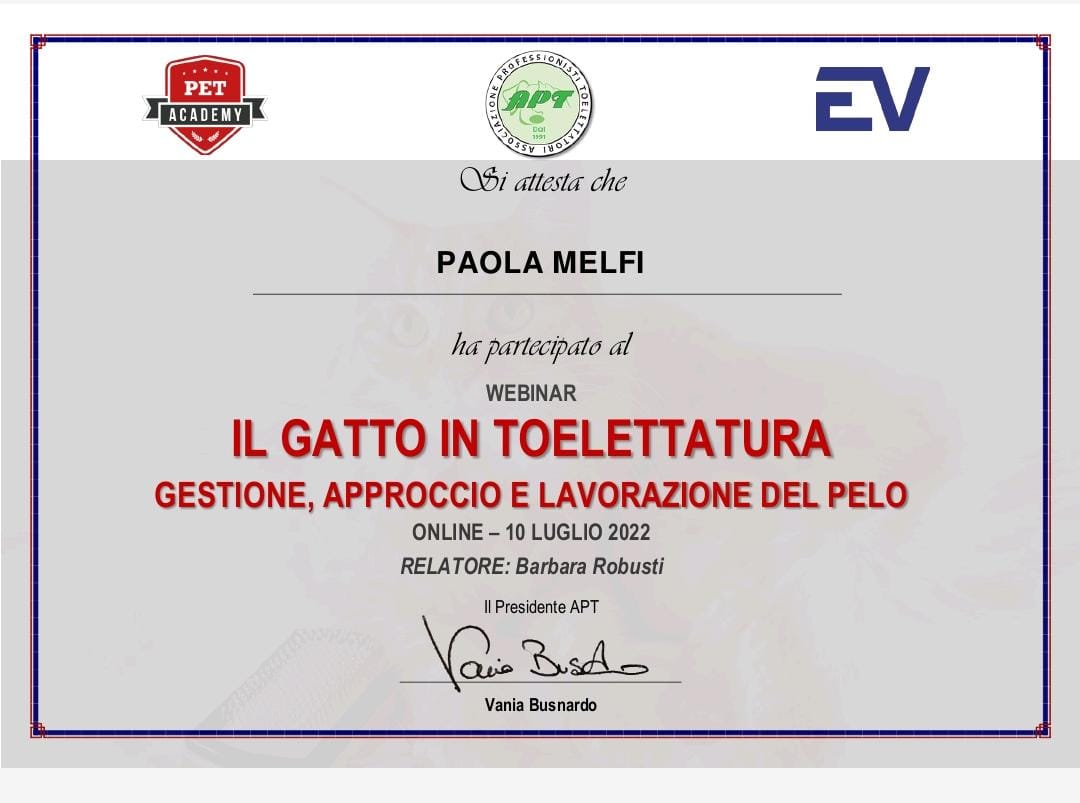 certificato5
