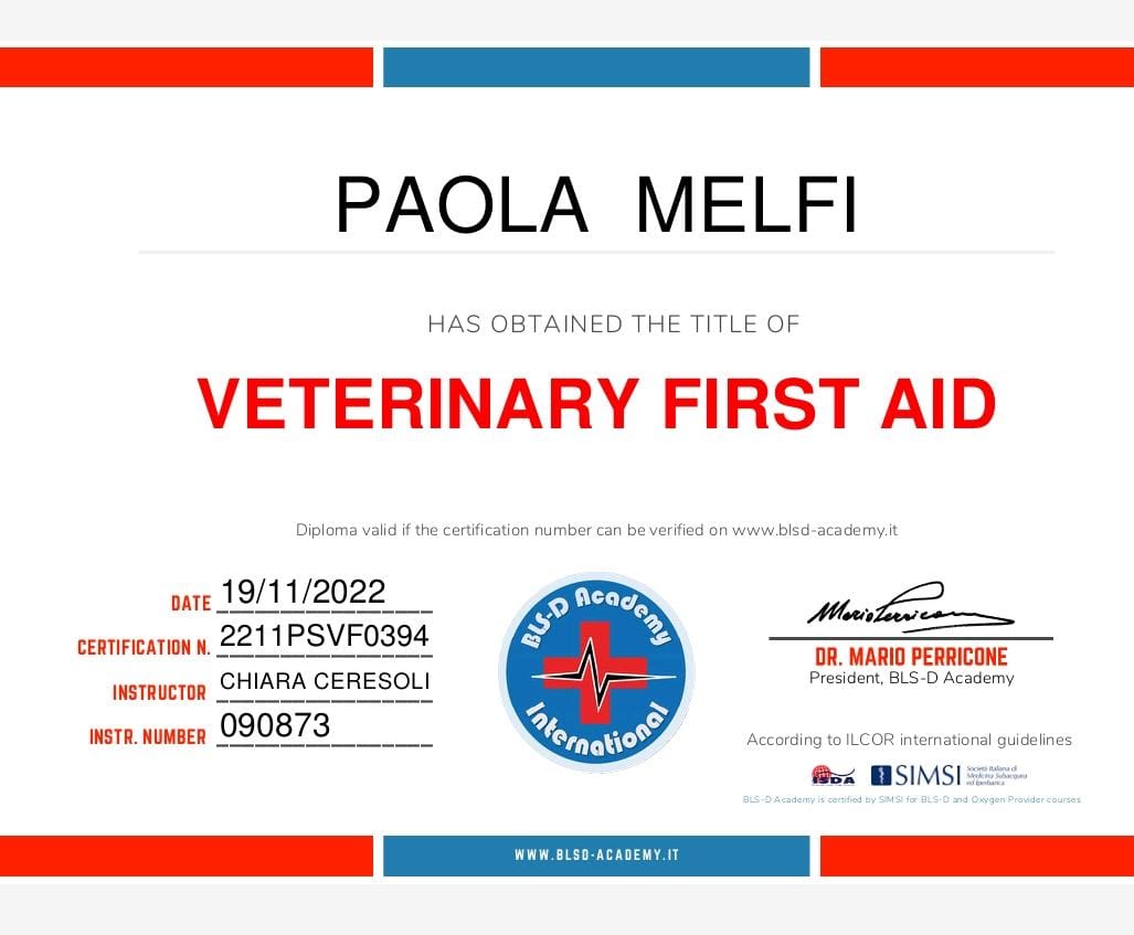 certificato6