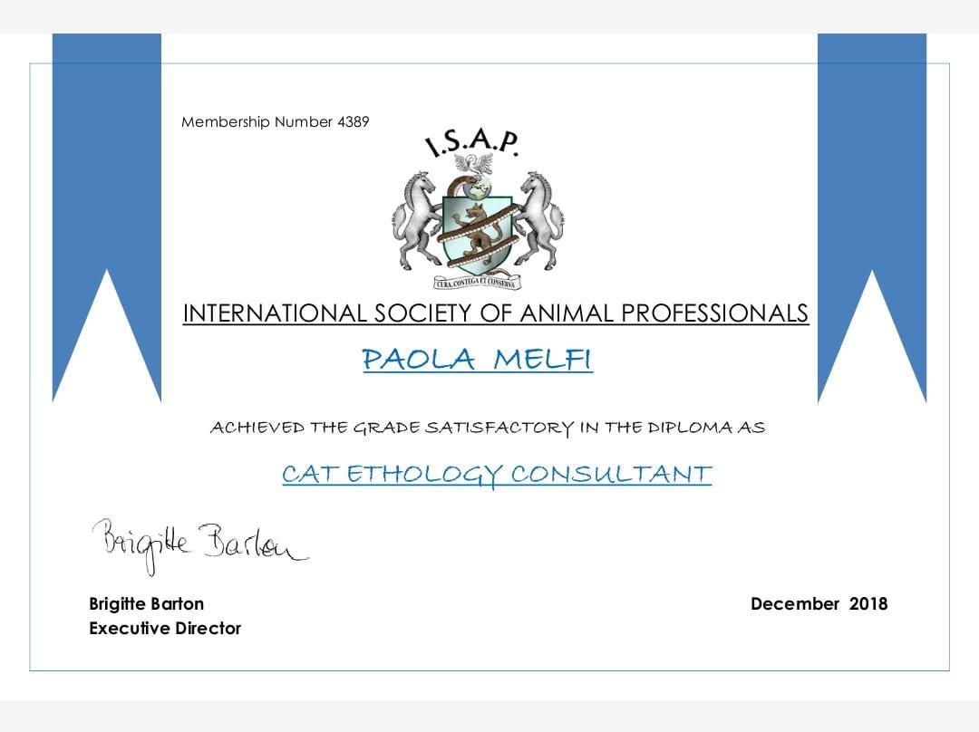 certificato7