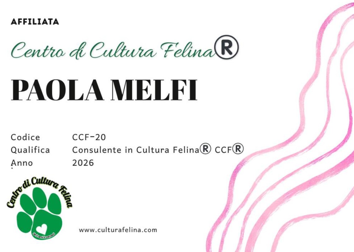 Centro cultura felina Paola Melfi