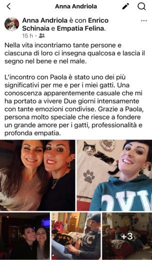 Immagine1