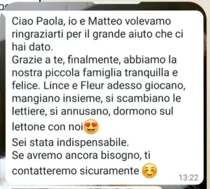 Immagine10
