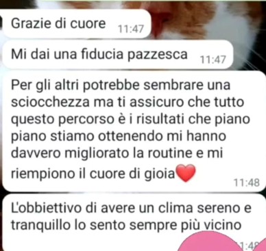 Immagine11