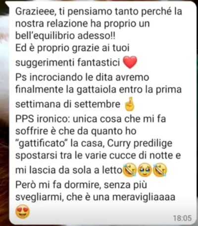 Immagine12