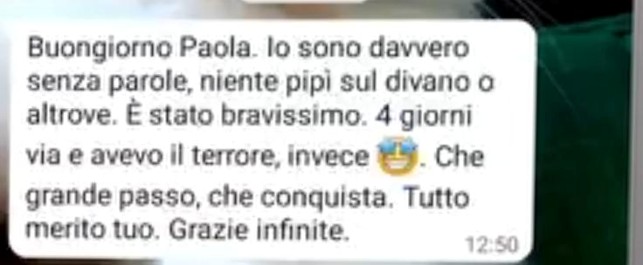 Immagine15