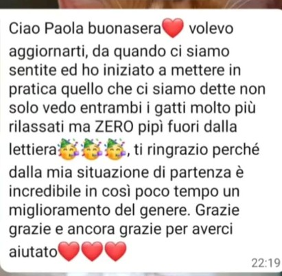 Immagine16