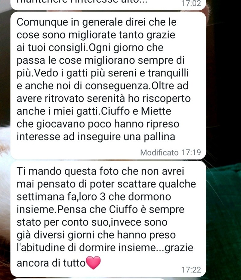 Immagine2