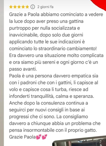 Immagine4