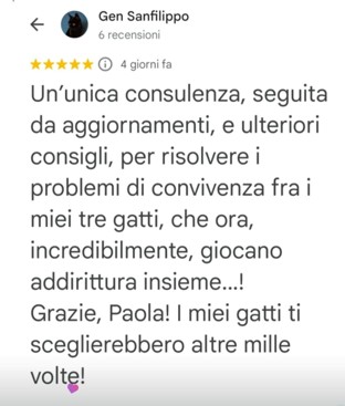 Immagine5