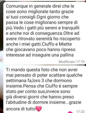 Immagine9