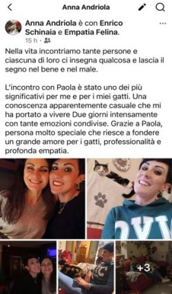 Immagine1