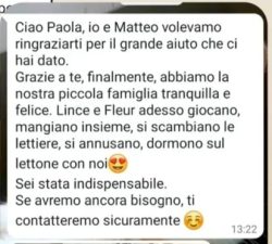 Immagine10