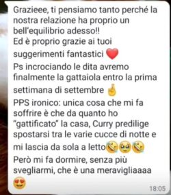 Immagine12
