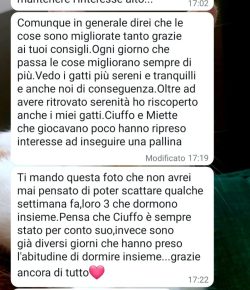 Immagine2