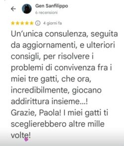 Immagine5