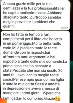 Immagine8